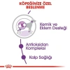Royal Canin Giant Dev Irk Yetişkin Köpek Maması 15 kg