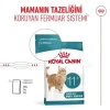 Royal Canin Healthy Ageing 11+ Yaşlı Kedi Maması 2 Kg