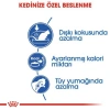Royal Canin Indoor 27 2 kg Ev Kedileri İçin Yetişkin Kuru Kedi Maması