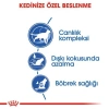 Royal Canin Indoor +7 Ev Kedileri için 3.5 kg Yaşlı Kuru Kedi Maması