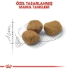 Royal Canin Indoor +7 Ev Kedileri için 3.5 kg Yaşlı Kuru Kedi Maması