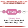 Royal Canin Kitten Persian İran Kedilerine Özel 2 kg Yavru Kuru Kedi Maması