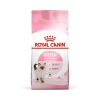 Royal Canin Kitten Yavru Kedi Maması 10 kg