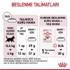Royal Canin Kitten Yavru Kedi Maması 4 kg