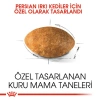 Royal Canin Persian 30 İran Kedilerine Özel Yetişkin Kedi Maması 2 kg