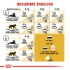 Royal Canin Persian 30 İran Kedilerine Özel Yetişkin Kedi Maması 2 kg