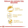 Royal Canin Persian Yetişkin Kedi Konservesi 85 gr