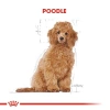 Royal Canin Poodle Puppy 3 kg Yavru Köpek Maması