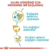 Royal Canin Poodle Puppy 3 kg Yavru Köpek Maması