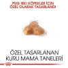Royal Canin Pug Köpekler İçin Yetişkin Köpek Maması 1,5 kg