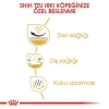 Royal Canin Shih Tzu Yetişkin Köpek Maması 1,5 kg