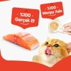Wanpy Somonlu 10x16 gr Kaşık Krema Kedi Ödül Maması