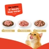 Wanpy Tahılsız Ton Balıklı 375 gr Yetişkin Konserve Kedi Maması