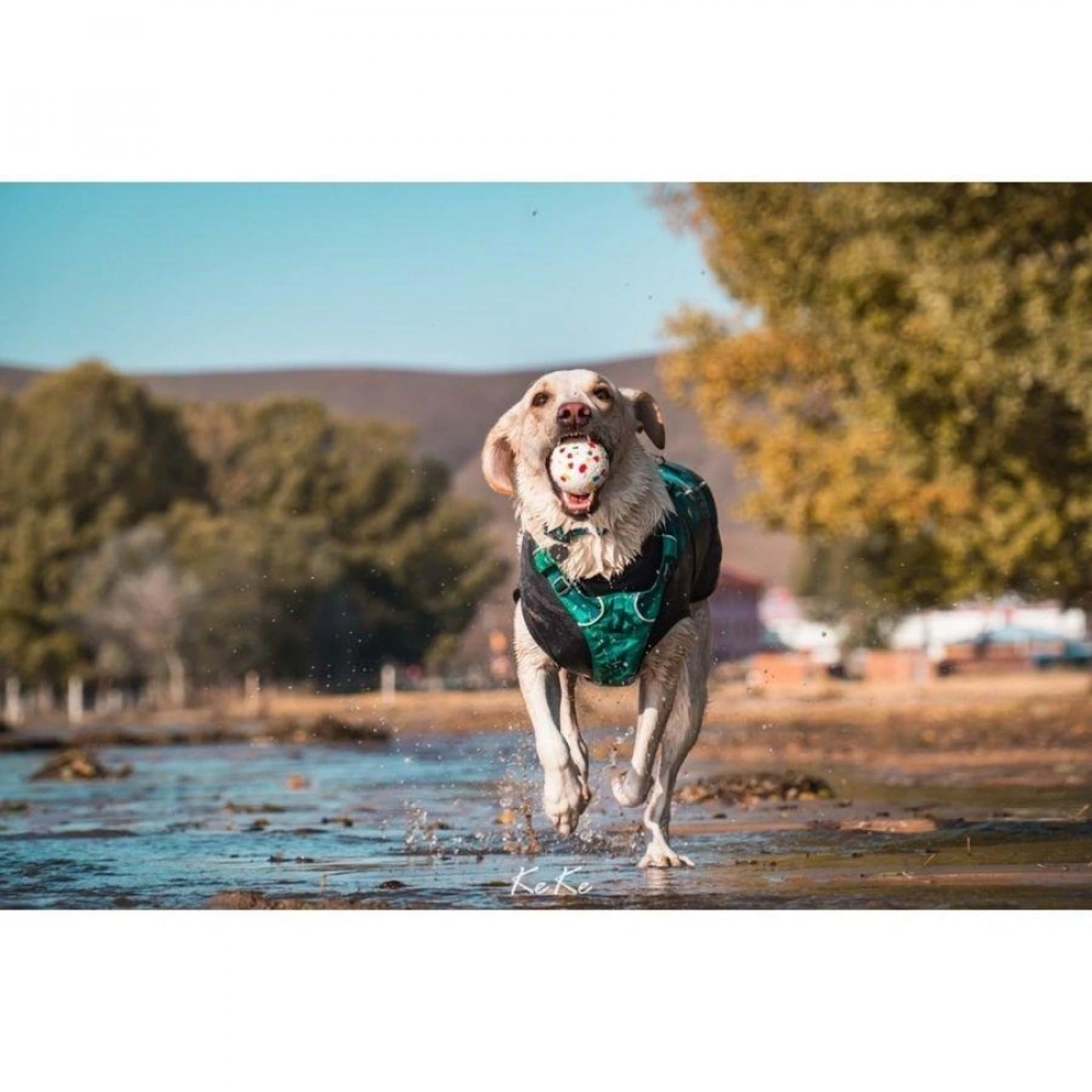 M-Pets Bloom Ball Oyun Topu Parçalanmaz
