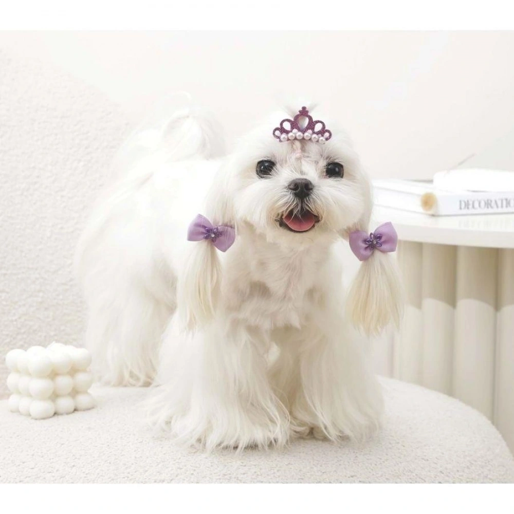 M-Pets Glam Köpekler İçin Aksesuar Toka Kırmızı Purple Mor