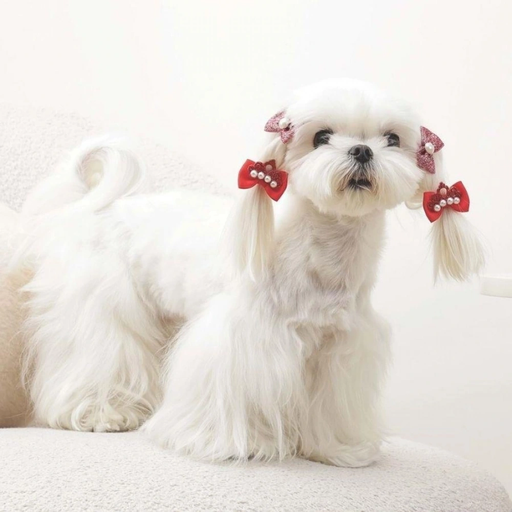 M-Pets Glam Köpekler İçin Aksesuar Toka Kırmızı
