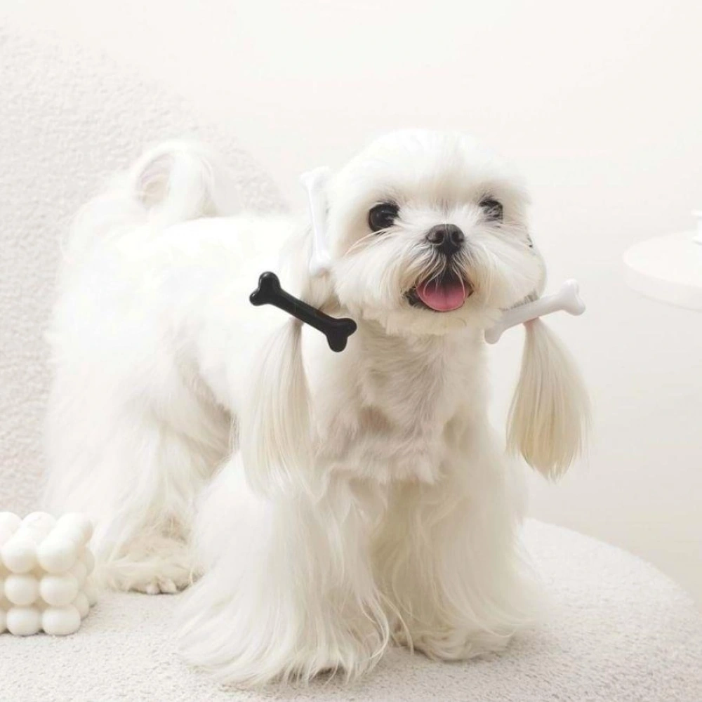 M-PETS GLAM KÖPEKLER İÇİN AKSESUAR TOKA BLACK/WHİTE