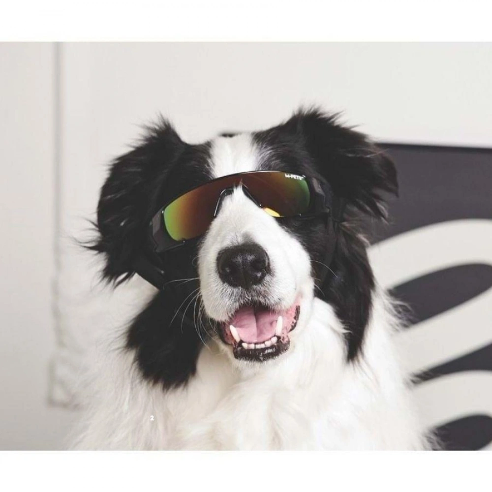 M-PETS Sunny Sunbather Köpekler İçin Gözlük Black