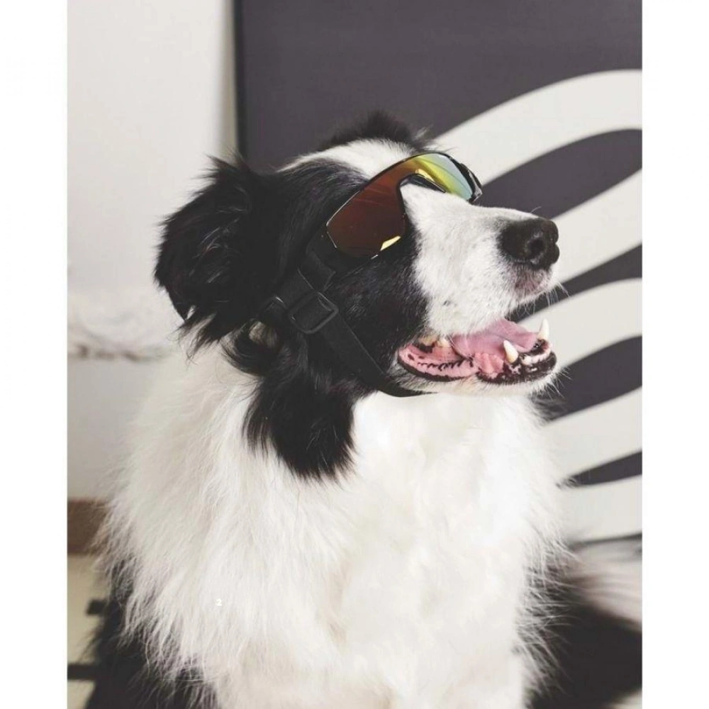 M-PETS Sunny Sunbather Köpekler İçin Gözlük Black
