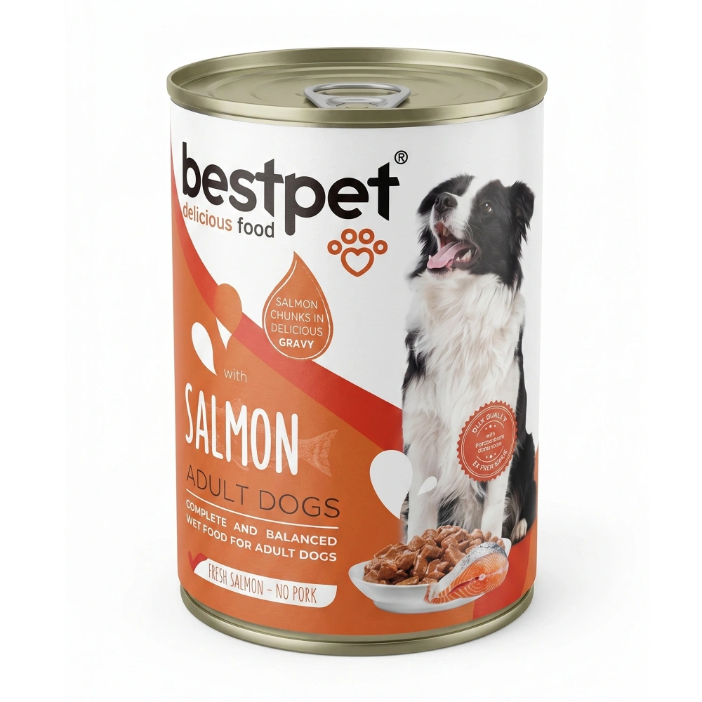 Bestpet Jöle İçinde Parça Etli Somon Balıklı Konserve Yetişkin Köpek Maması 400 gr