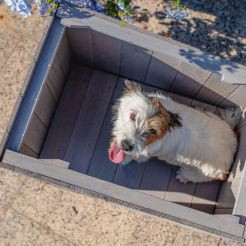Ferplast Argo 60 Ahşap Köpek Kulübesi