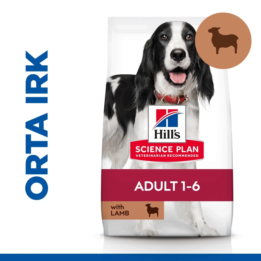 Hills Science Plan Yetişkin Orta Irk Kuzulu ve Pirinçli Köpek Maması 12+2 Kg