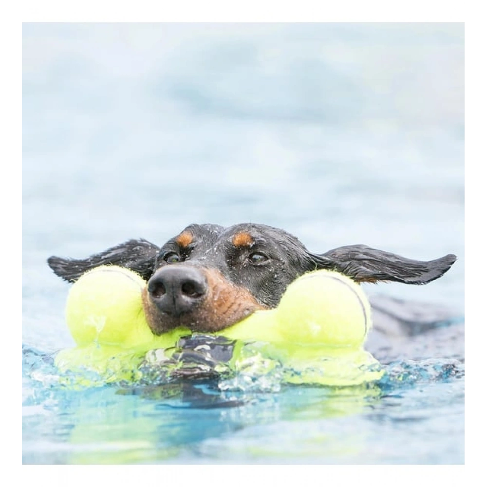 Kong Airdog Sesli Kemik Köpek Oyuncağı L