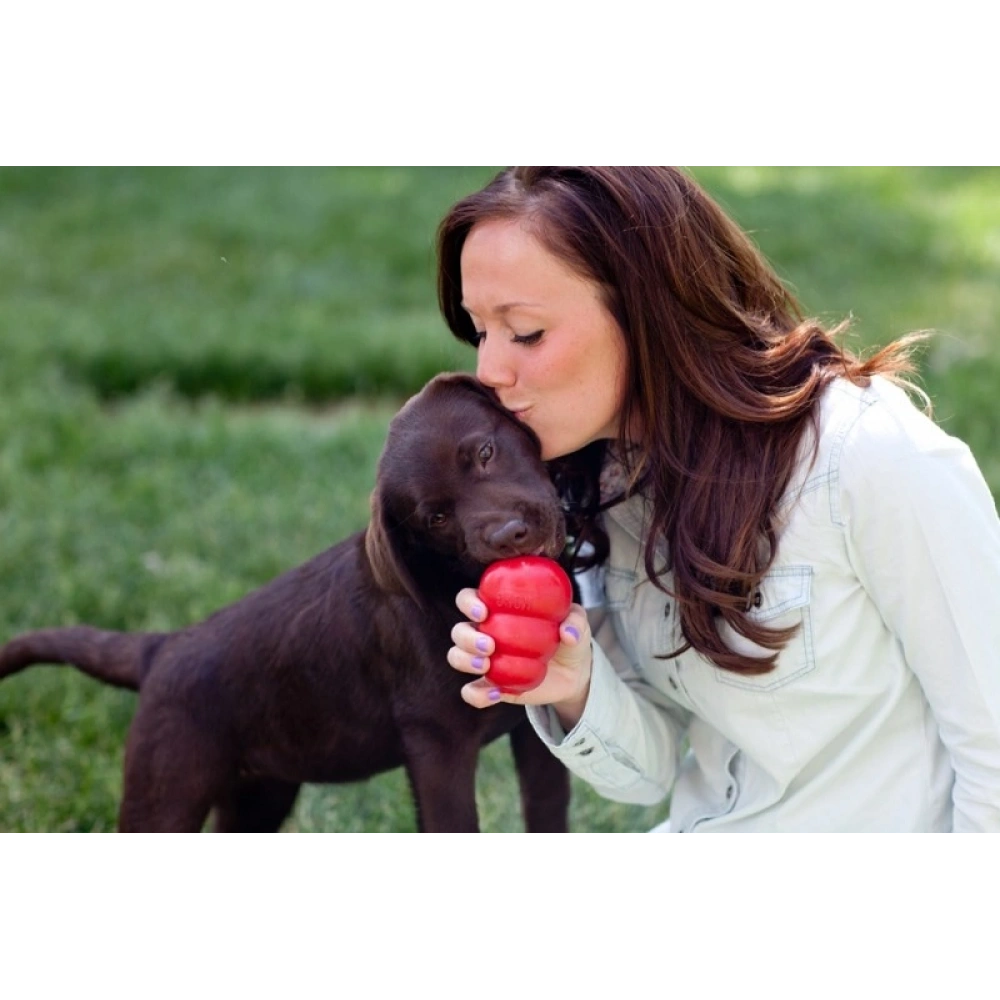 KONG Classic Köpekler için Çok Amaçlı Isırma Oyuncağı XL
