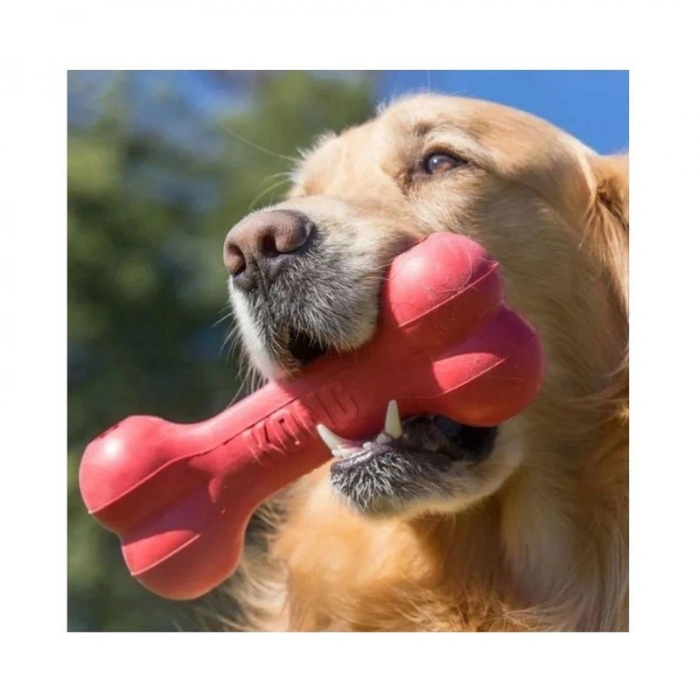 KONG Goodie Bone Kemik Şeklinde Çok Amaçlı Köpek Oyuncağı L