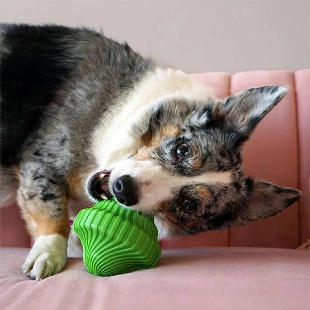 Kong Squeezz Orbitz Dönen Daire Şeklinde Köpek Oyuncağı S/M