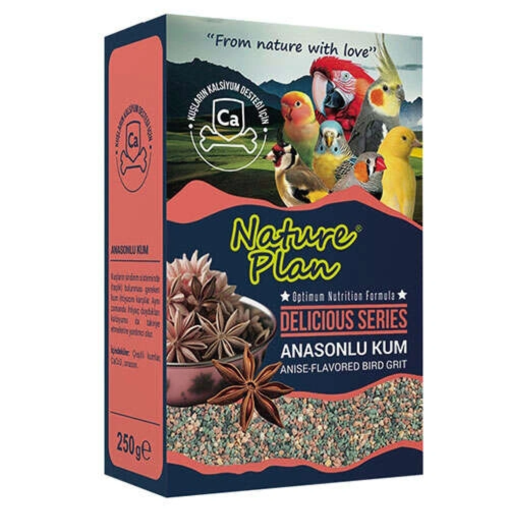 Nature Plan Delicious Serisi Anasonlu Kum 250 Gr