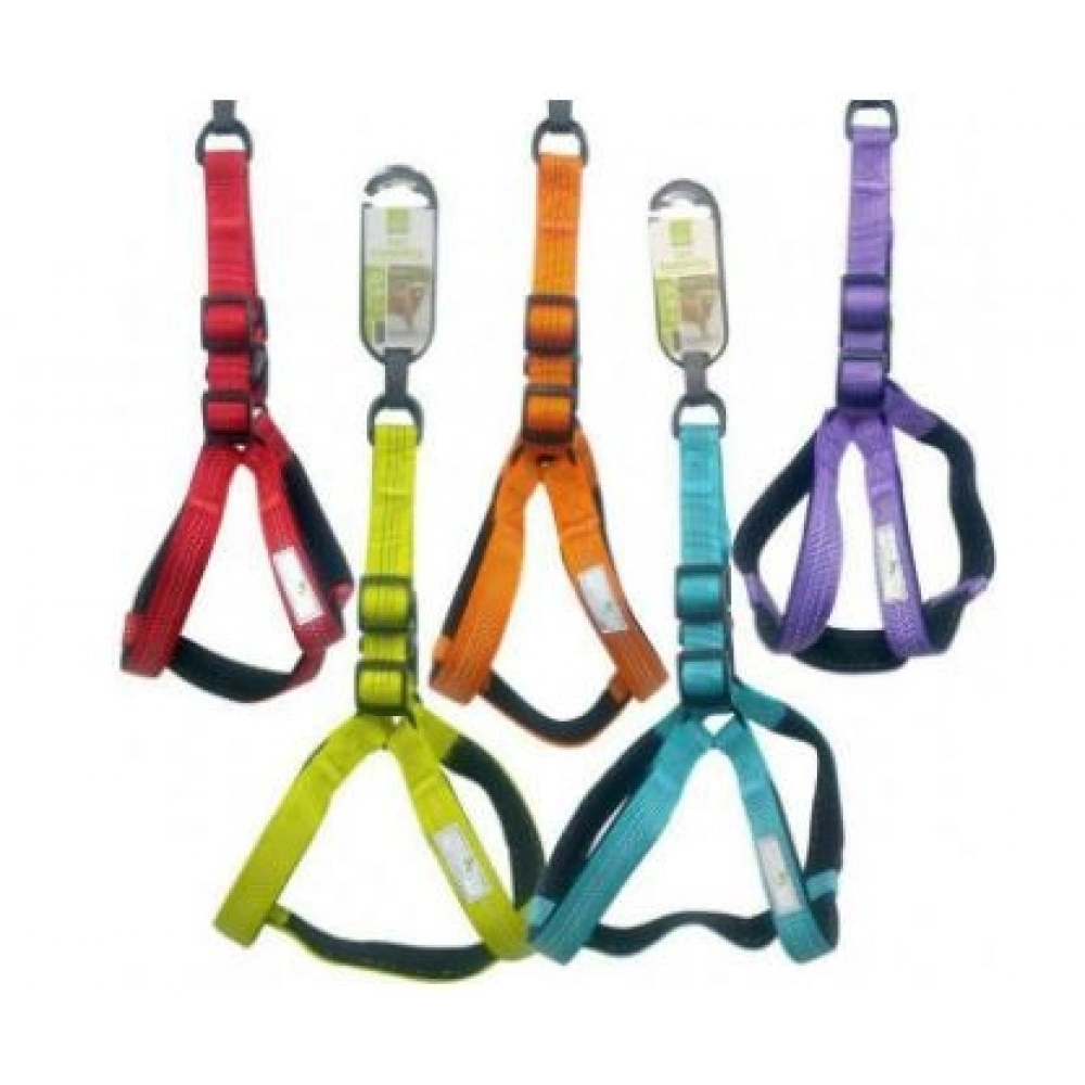 Nunbell Renkli Göğüs Tasması 2mm Yumaşak Doku