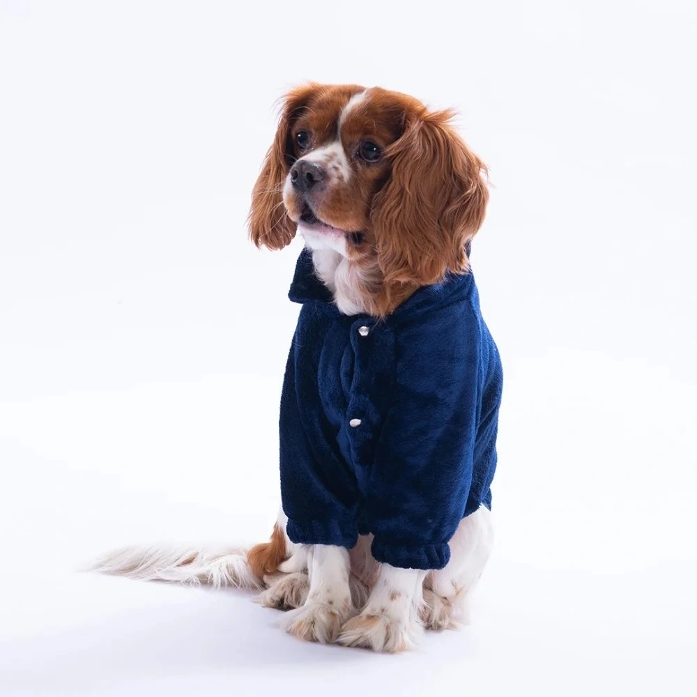 PawStar Lacivert Jaipur Magic Ceket L