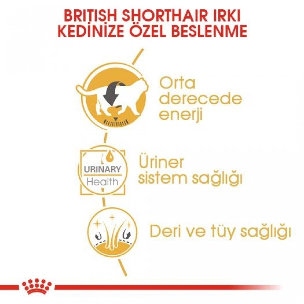 Royal Canin British Shorthair Pouch Yetişkin Kedi Konservesi 85 gr