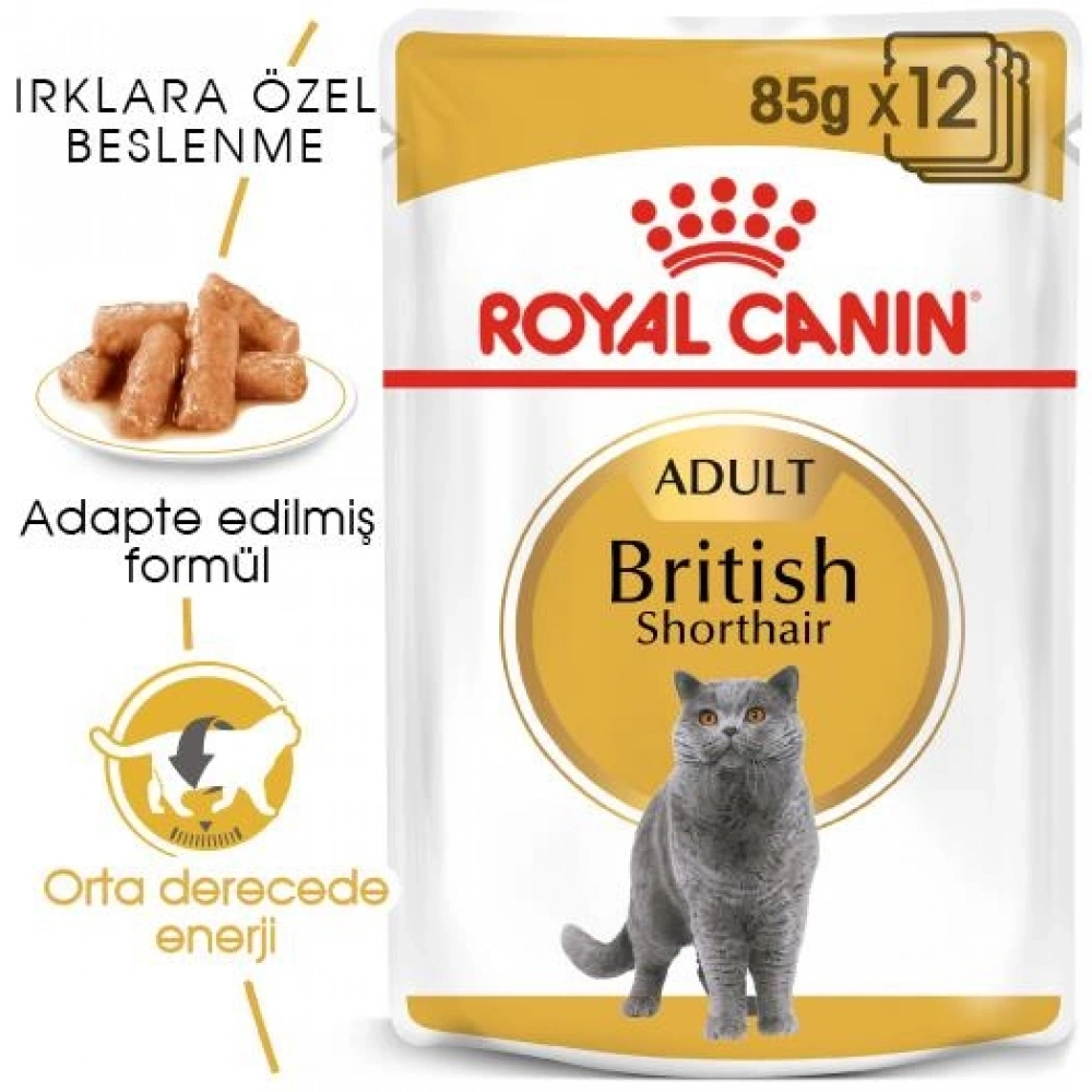 Royal Canin British Shorthair Pouch Yetişkin Kedi Konservesi 85 gr