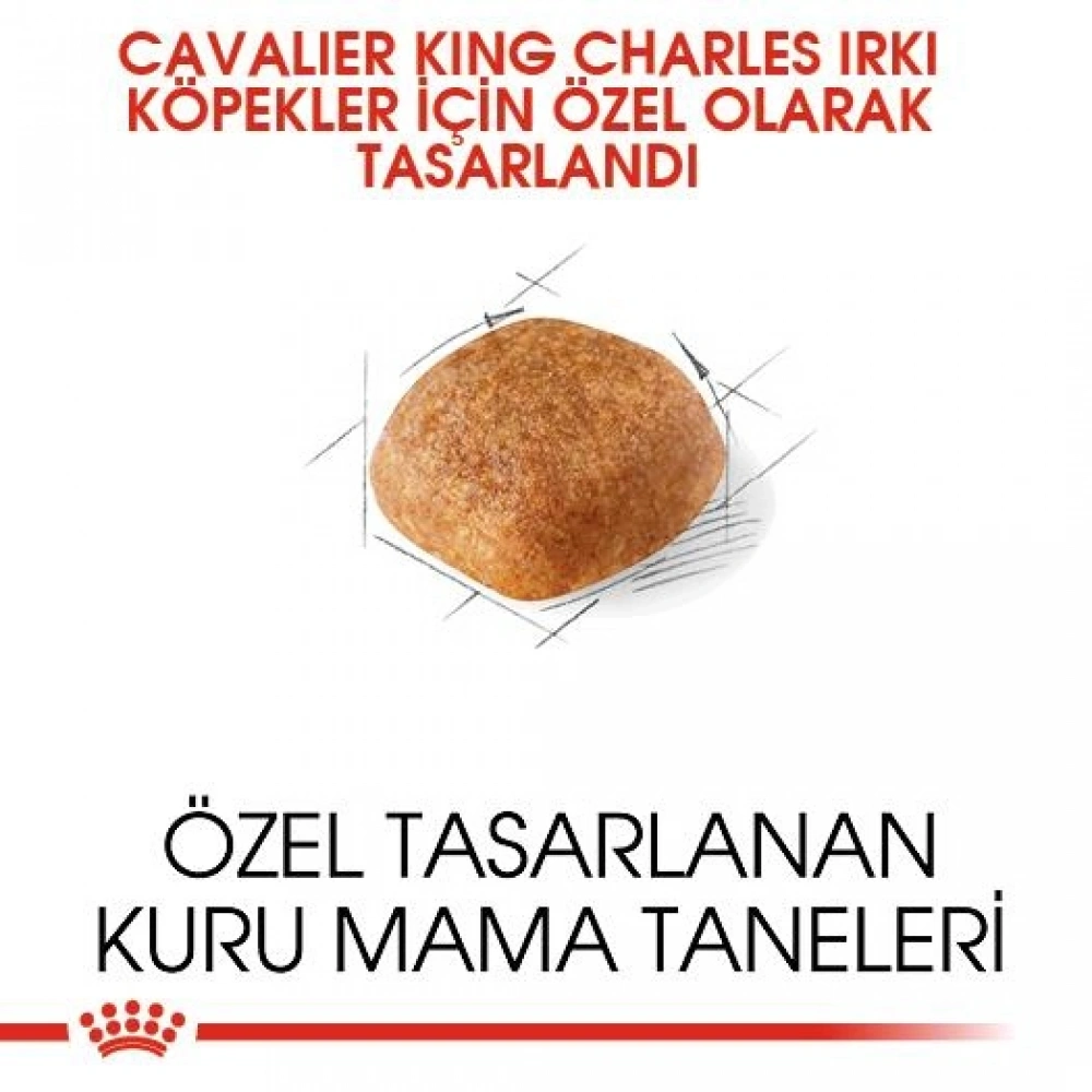 Royal Canin Cavalier King Charles Yetişkin Köpek Maması 3 kg