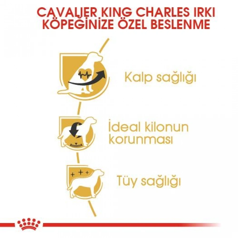 Royal Canin Cavalier King Charles Yetişkin Köpek Maması 3 kg