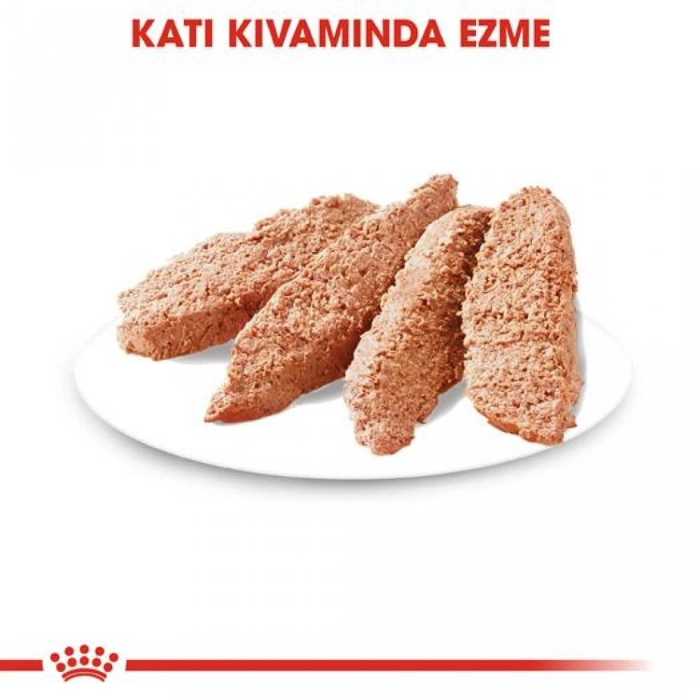 Royal Canin CCN Exigent Pouch Kısırlaştırılmış Yetişkin Köpek Konservesi 85 gr