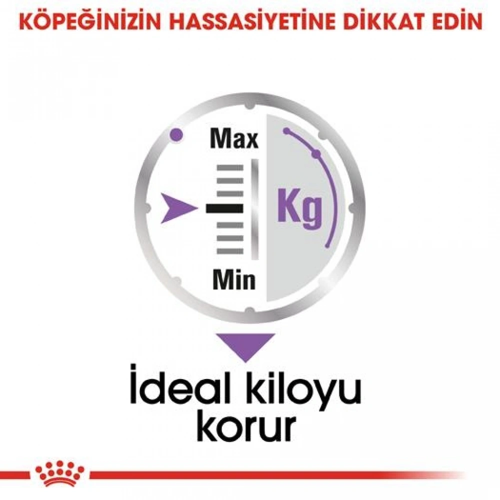Royal Canin CCN Exigent Pouch Kısırlaştırılmış Yetişkin Köpek Konservesi 85 gr