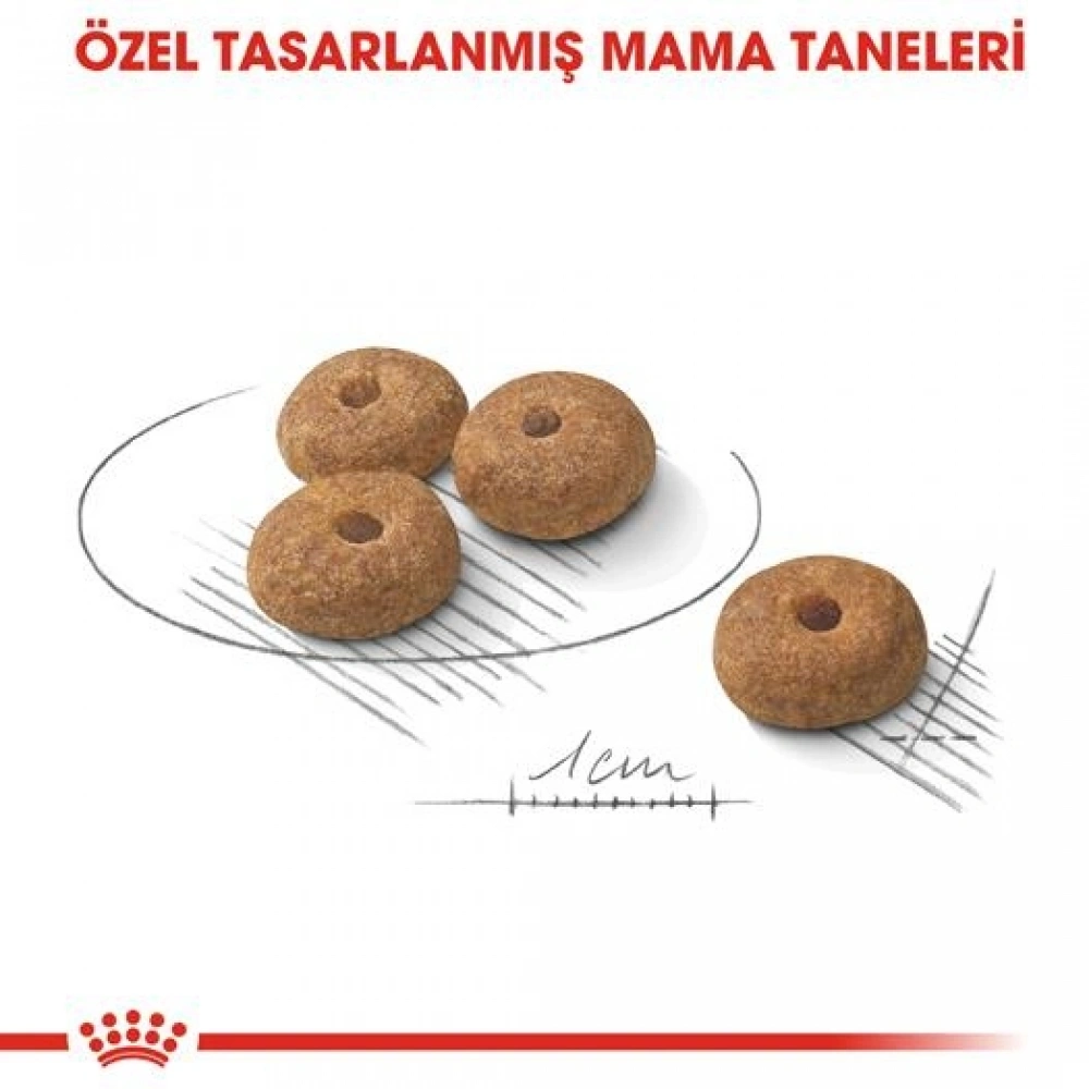 Royal Canin Mini Sterilised Küçük Irk Kısırlaştırılmış Köpek Maması 3 Kg