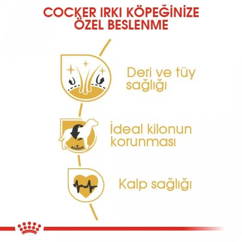 Royal Canin Cocker Özel Irk Yetişkin Köpek Maması 3 kg