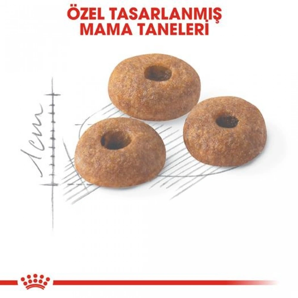 Royal Canin Fit 32 Yetişkin Kedi Maması 15 kg