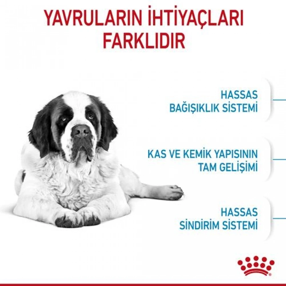 Royal Canin Giant Dev Irk Yavru Köpek Maması 15 kg