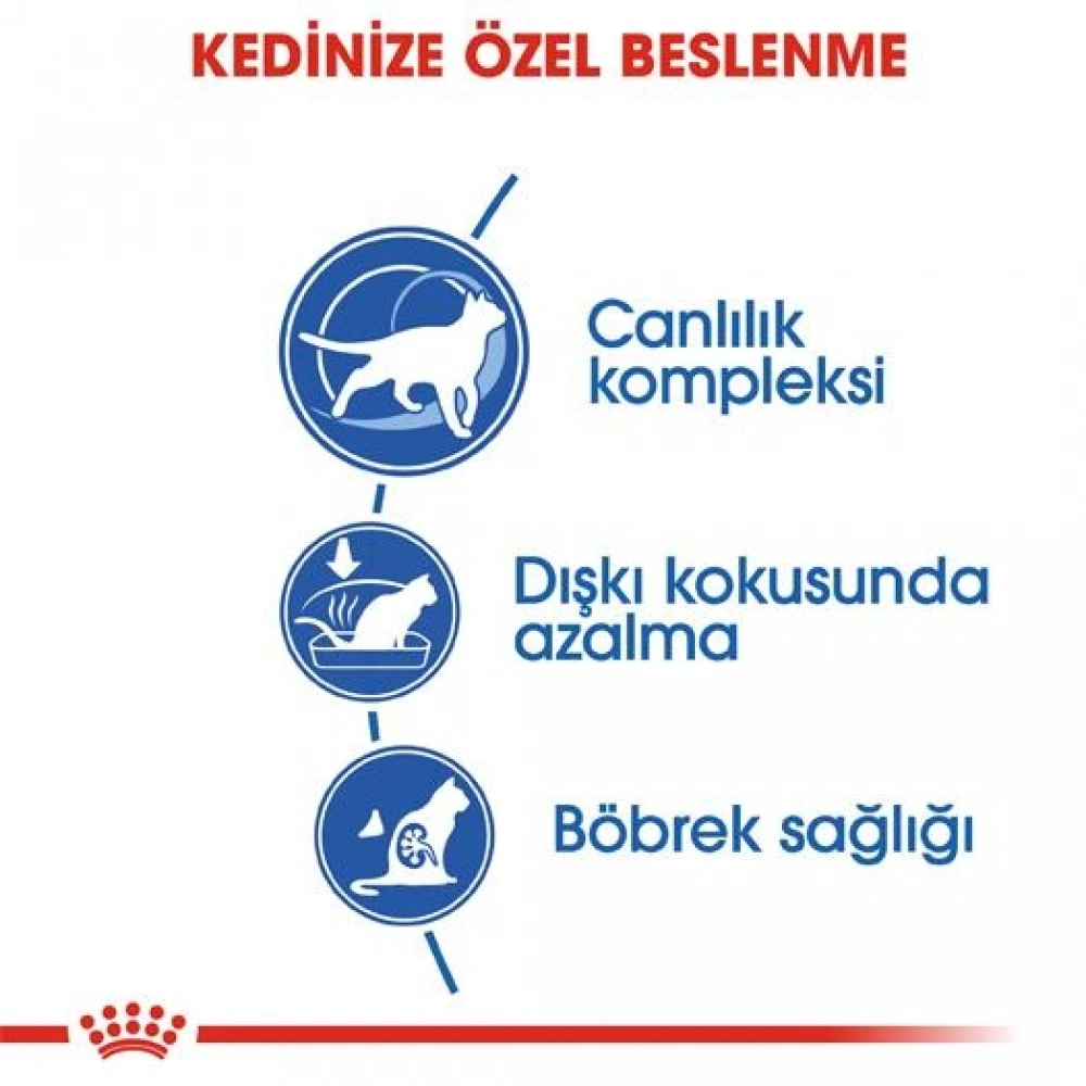 Royal Canin Indoor +7 Ev Kedileri için 3.5 kg Yaşlı Kuru Kedi Maması
