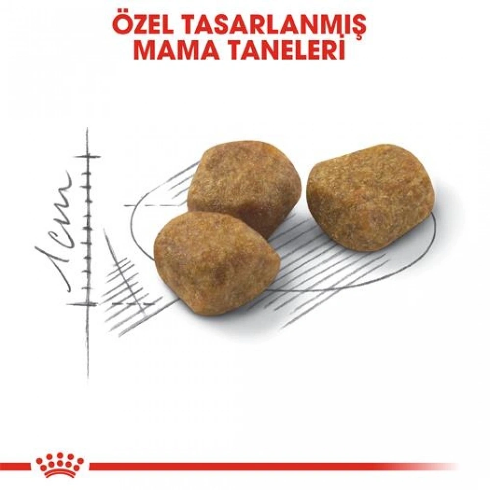 Royal Canin Indoor +7 Ev Kedileri için 3.5 kg Yaşlı Kuru Kedi Maması