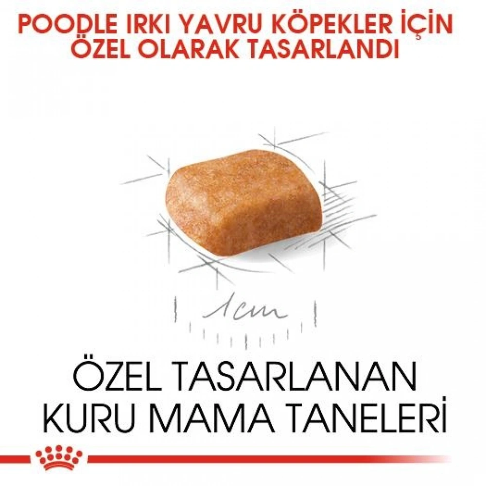 Royal Canin Poodle Puppy 3 kg Yavru Köpek Maması