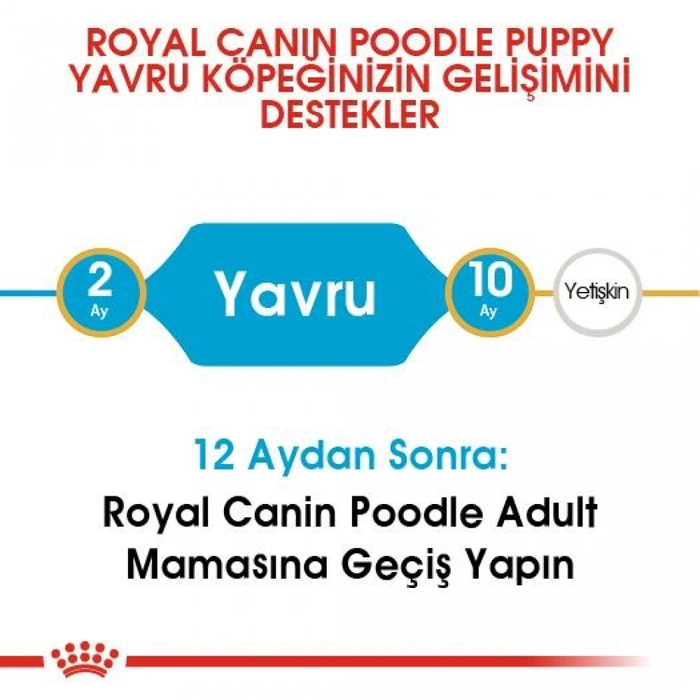Royal Canin Poodle Puppy 3 kg Yavru Köpek Maması