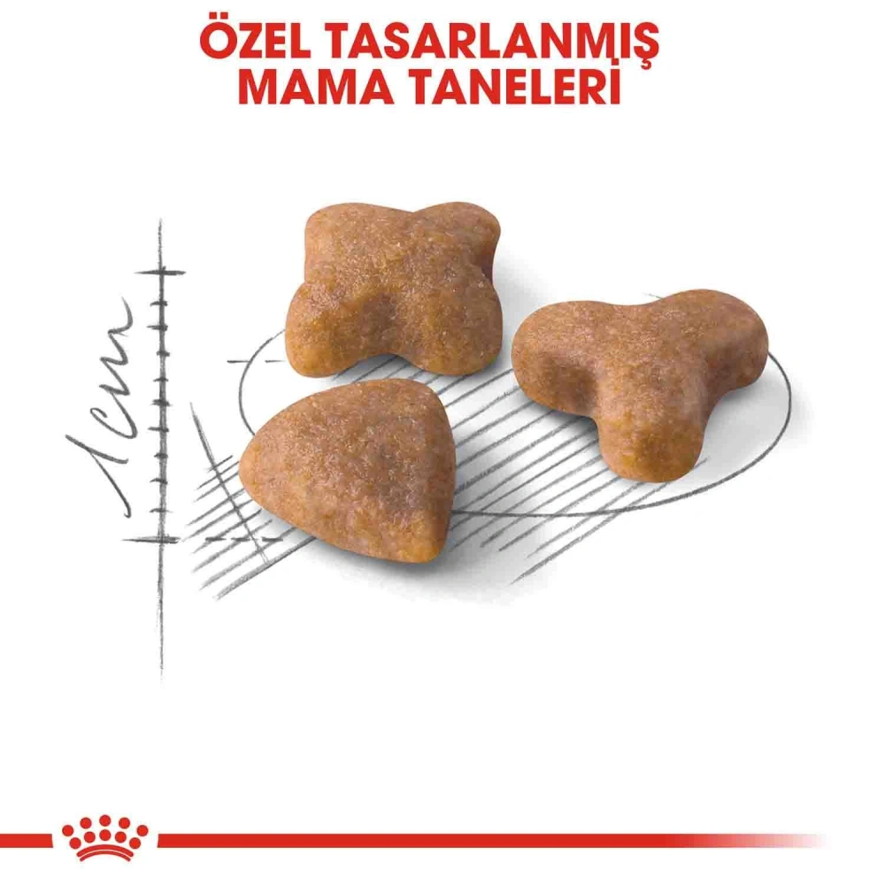 Royal Canin Sensible 33 Hassas Sindirimi Olan Kedi Maması 15 kg