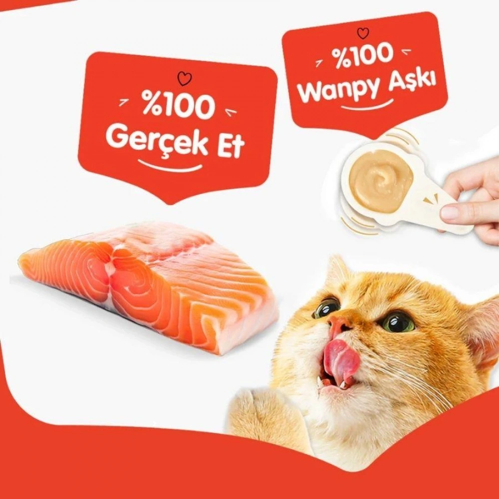 Wanpy Somonlu 10x16 gr Kaşık Krema Kedi Ödül Maması