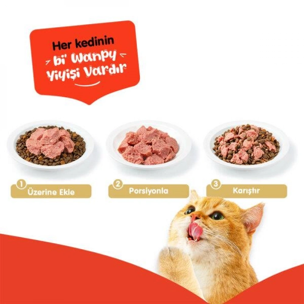 Wanpy Tahılsız Kuzu Etli 375 gr Yetişkin Konserve Kedi Maması